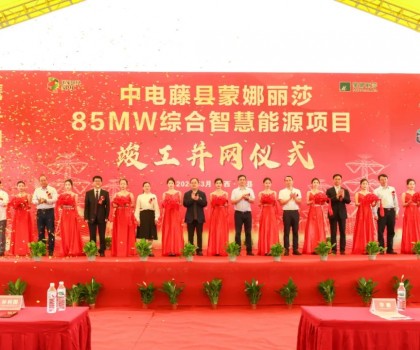 廣西最大工商業屋頂光伏項目在蒙娜麗莎正式并網啟用！